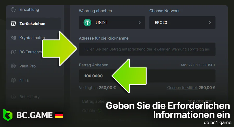 Füllen Sie die erforderlichen Informationen aus, um Geld von BC.Game abzuheben